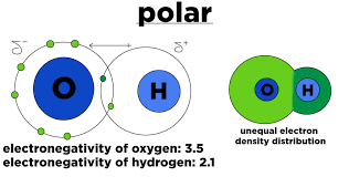 Polar Covalent Bond