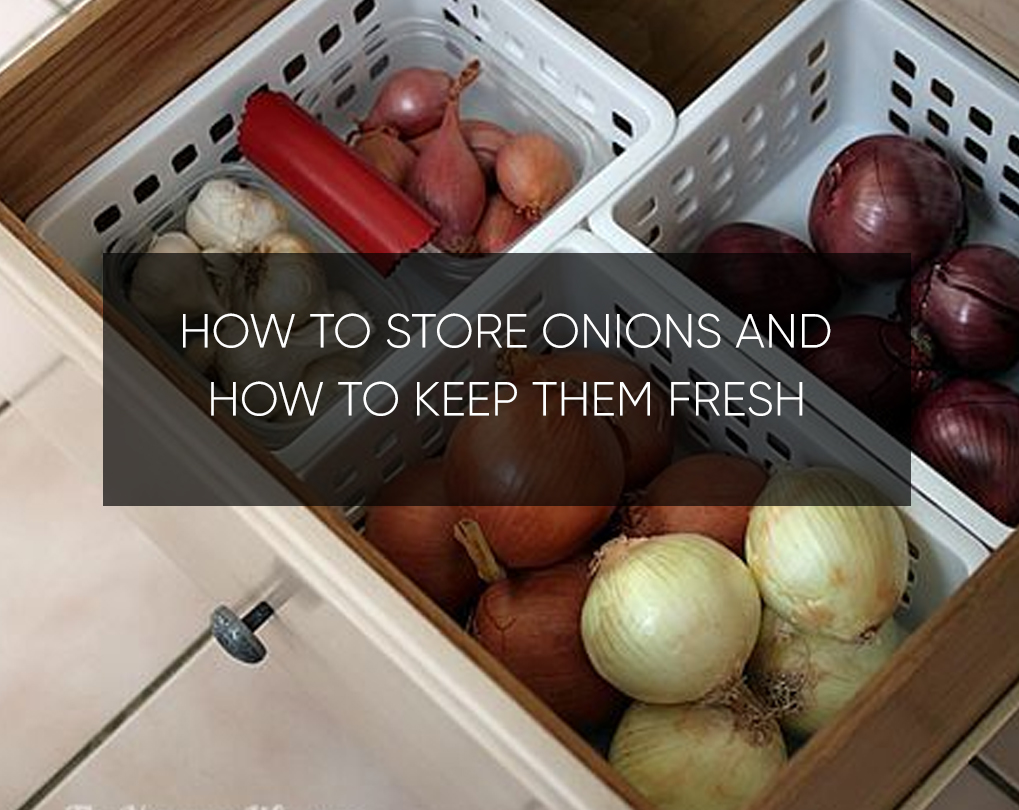 How to Store Onions and How to Keep Them Fresh