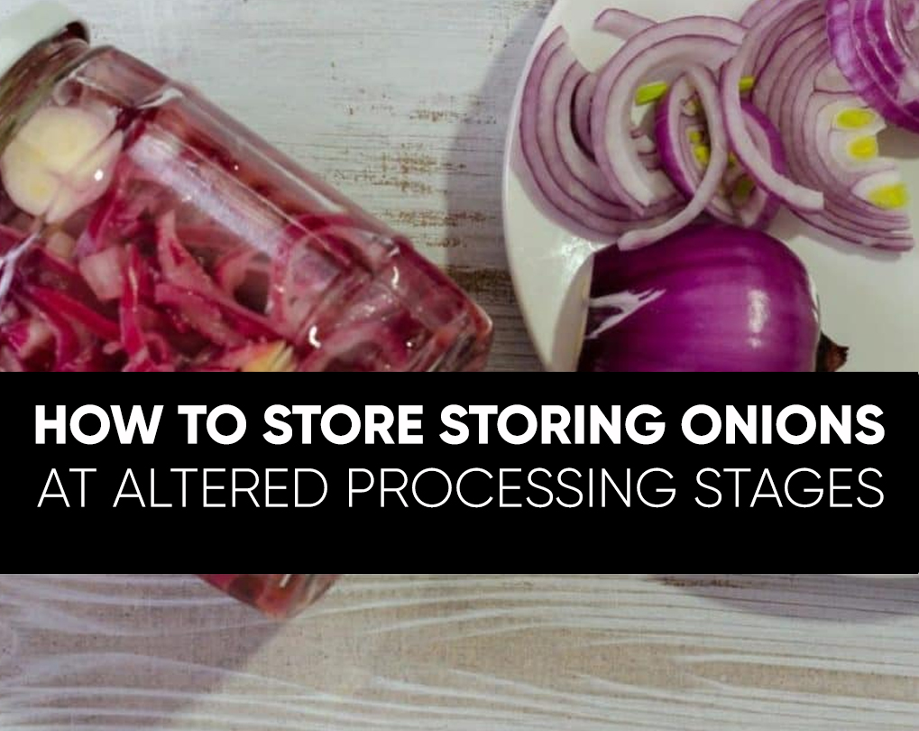 How To Store Onions