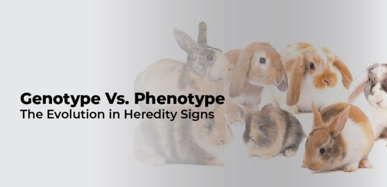 Genotype Vs. Phenotype